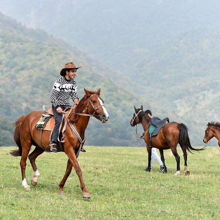 Gayane Hotel Alaverdi Luaran gambar